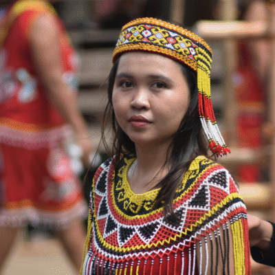 Borneo y Malasia en Español WeXplorer (10)