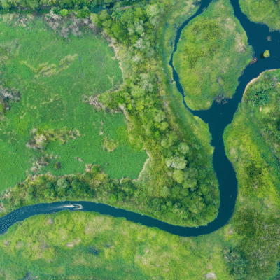 Borneo y Malasia en Español WeXplorer (5)