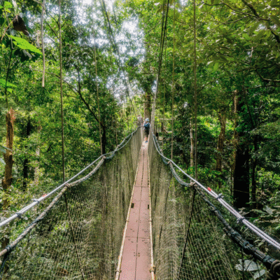 Borneo y Malasia en Español WeXplorer (8)